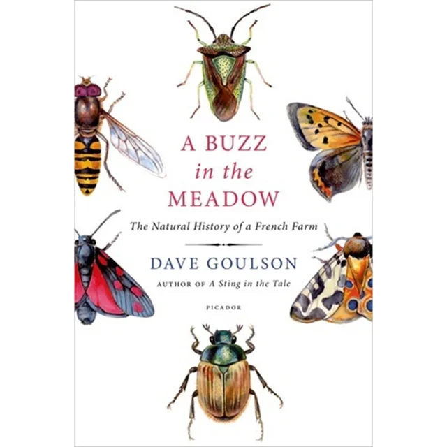 Buzz in the Meadow - Dave Goulson